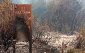 Incendio en Los Alerces: “Se está quemando nuestra historia, nuestro hogar, nuestro bosque”