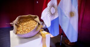 El maíz argentino se encamina a un récord de exportaciones impulsado por la menor oferta de sus competidores globales
