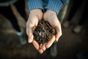 La degradación del suelo y las raíces coloniales de la agricultura industrial